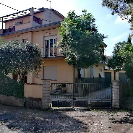 Il Merlo ピサ エクステリア 写真